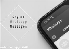 Spy Apps for Windows Pc