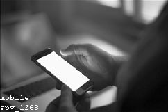 Mobile Spyware Software