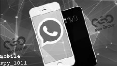 Best Cell Phone Spy App