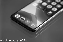Spyware on Mobile Phone