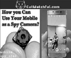 Spyware Phone App
